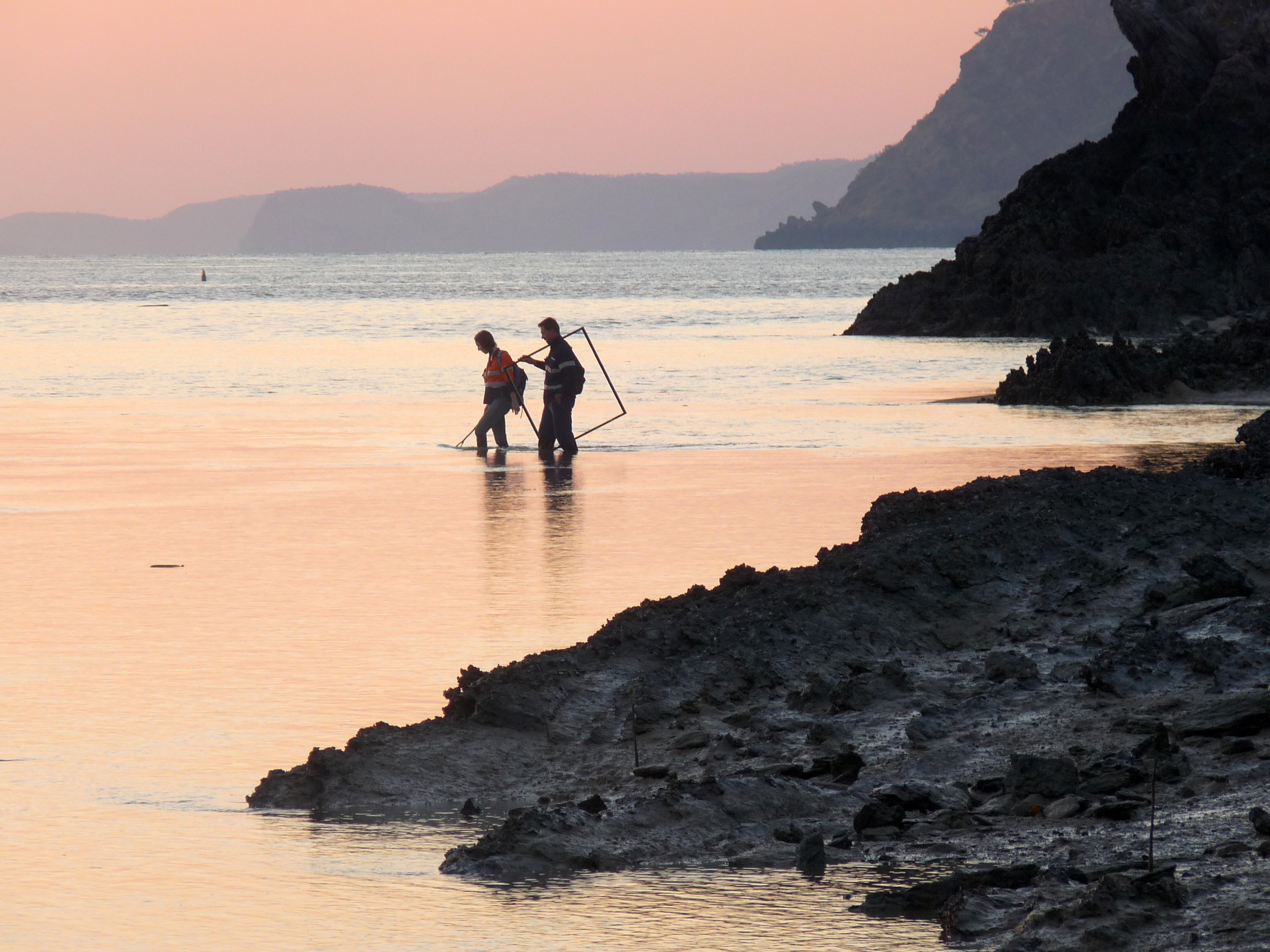 Environmental consultants wading in to the sea to conduct tests