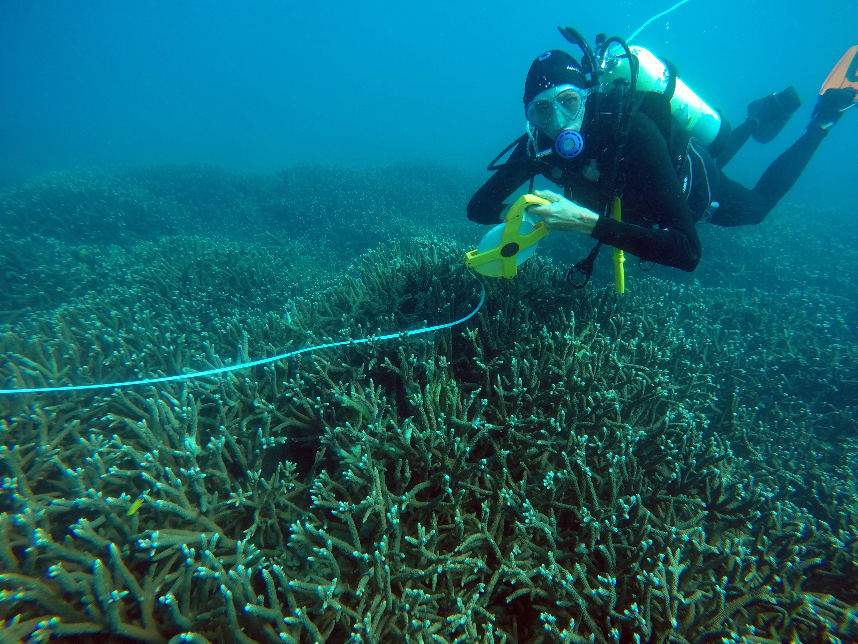 A diver in the ocean running environmental tests