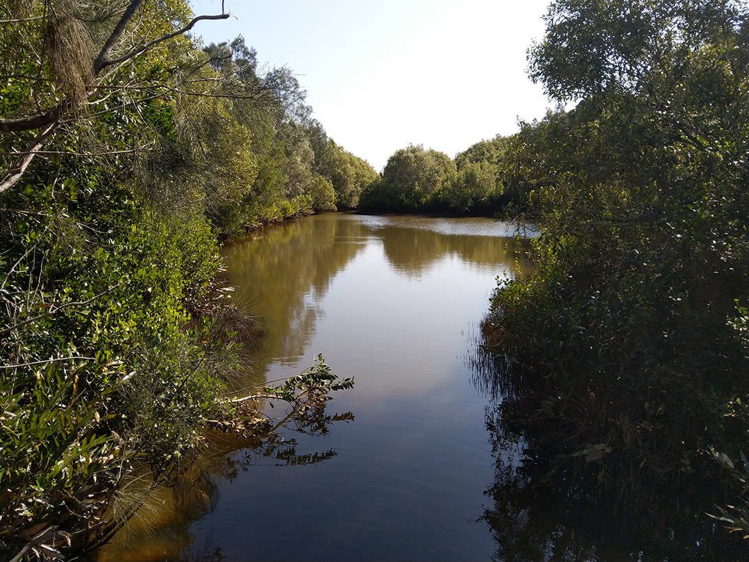 Sunshine coast airport - banner 