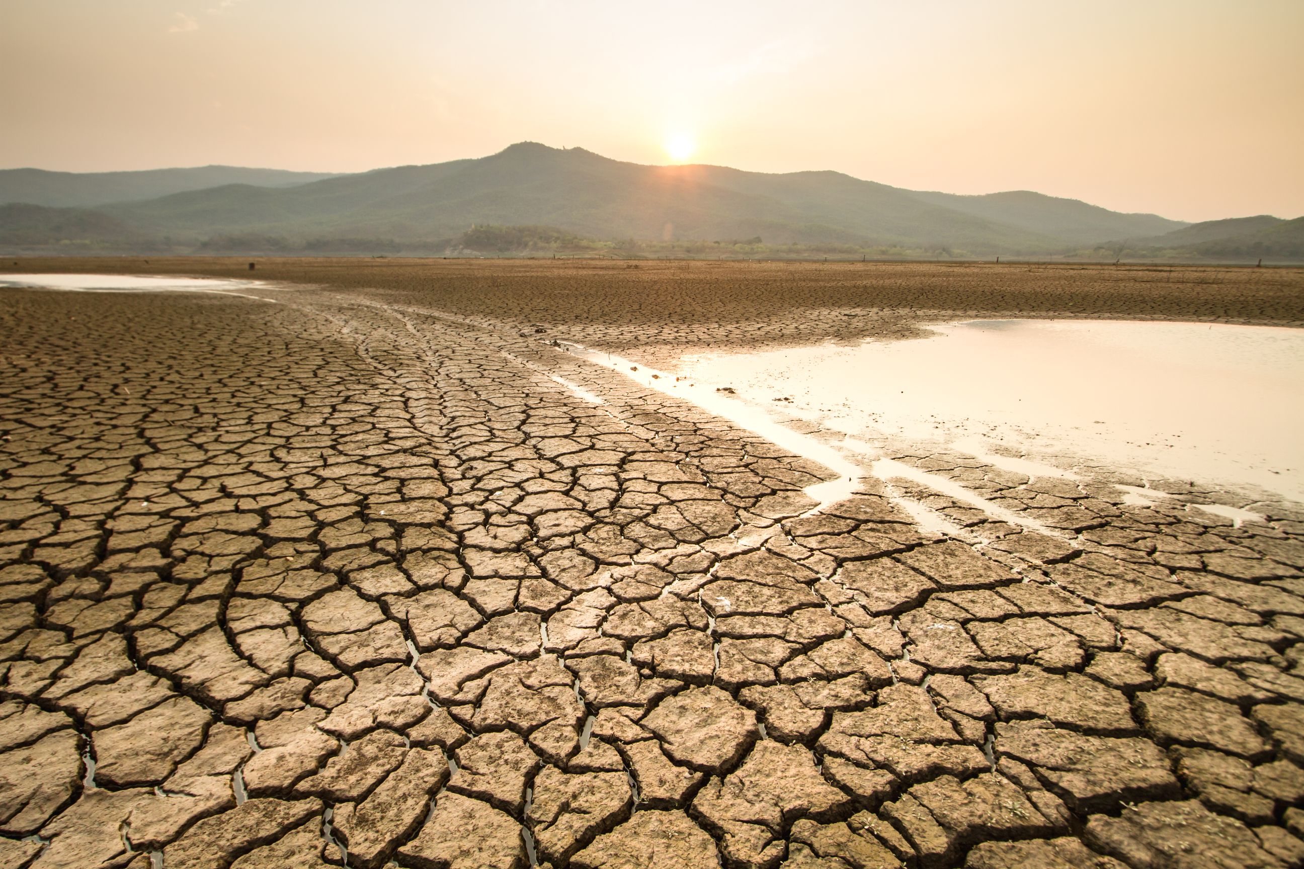 An image of dry land showing cracked earth and drought