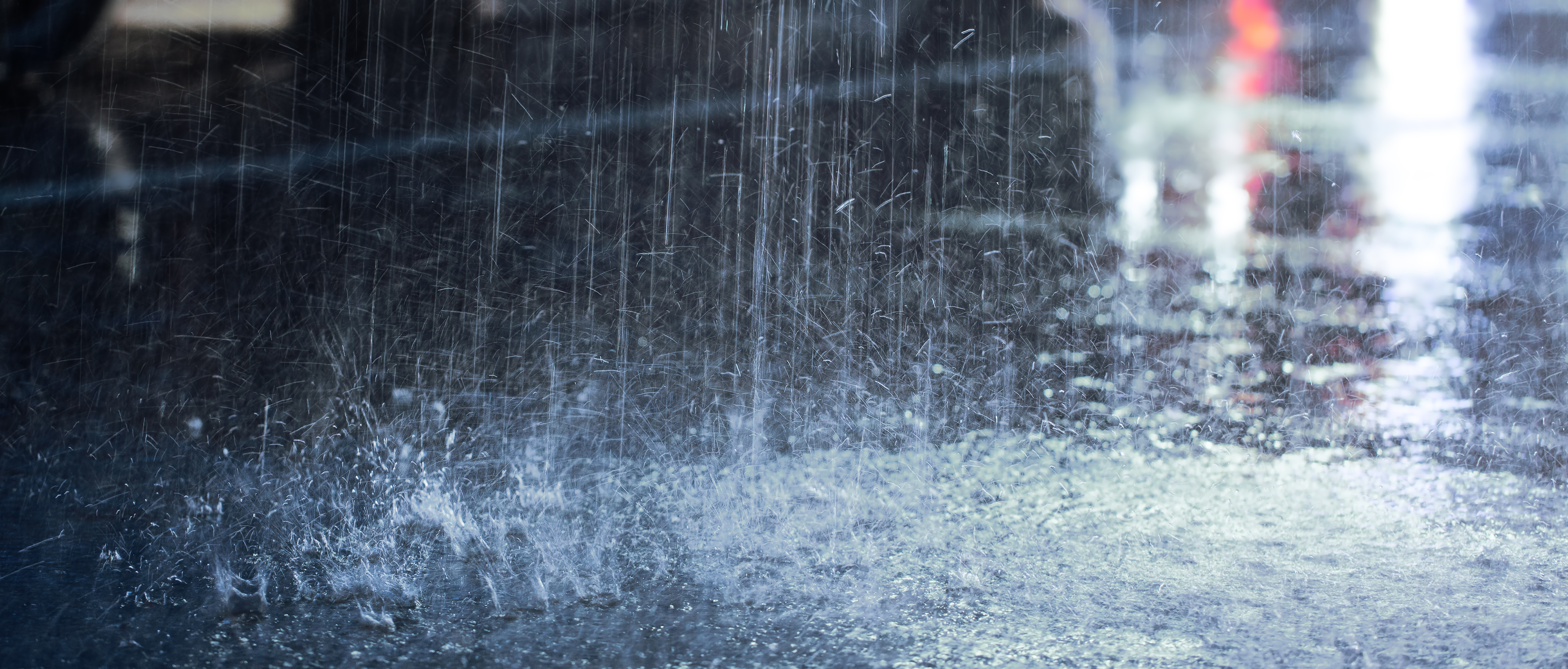 shutterstock_1012632184