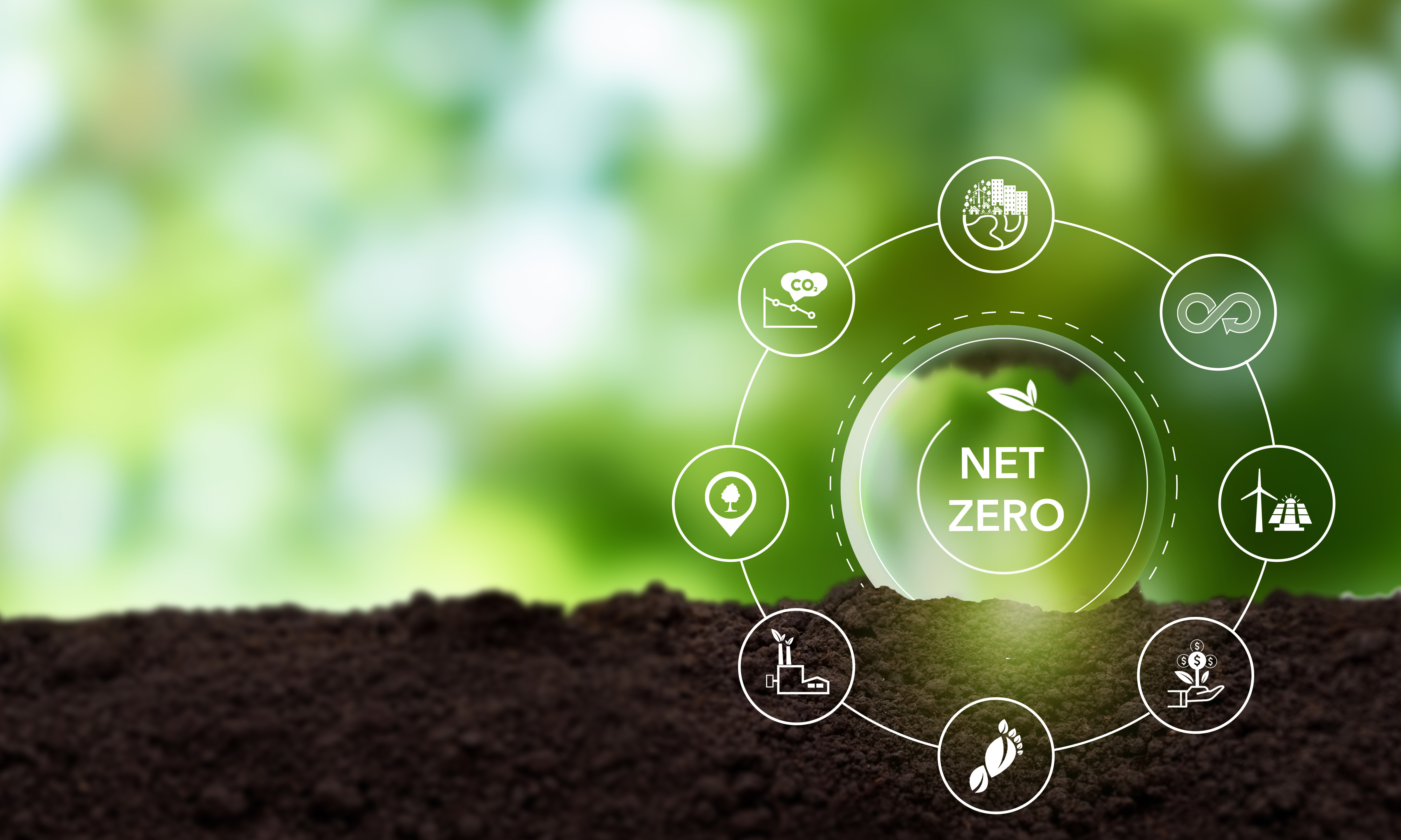 A blurred leafy background with a soil foundation and layered over are 6 circular icons showing the journey to Net Zero.