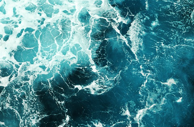 adobestock_235993838
